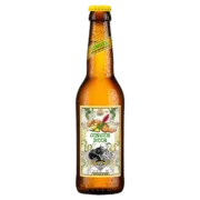 Bier Appenzeller Ginger Beer EW 6 Pack x 0.33 Liter