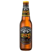 Bier Valaisanne Juicy IPA EW 4 Pack x 0.33 liter