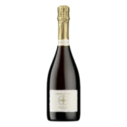 Schaumwein Senza Parole Vino Frizzante d`Italia 1 Fl. x 0,75 Liter