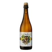 Lupulus Blonde EW 24 x 0,33 Liter (Copy)