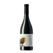 Terre d’Aigueville BIO Côtes du Rhône AOC 0,75 Liter